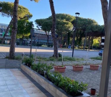 Milano Marittima House | Pernottamento Madonna del Pino Cervia