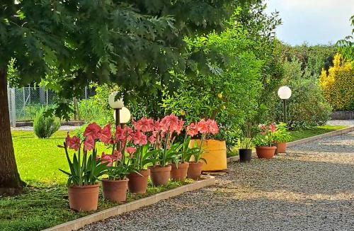Ponzano Veneto House | Borgo Barucchella