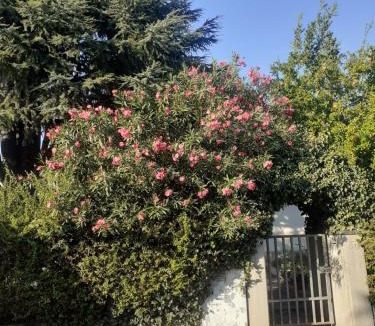 Castenaso Apartment | Apartament Cedro del Libano