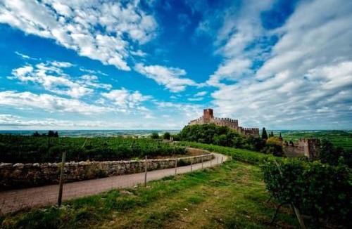 Soave House | BorgoAntico Affittacamere