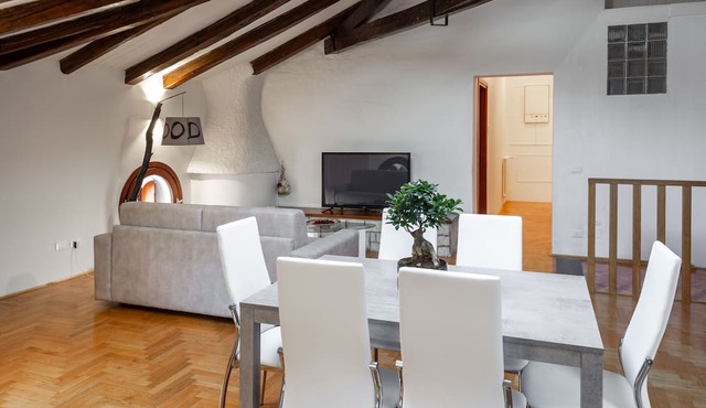 ATTIC FLOOR VENICE APARTMENT