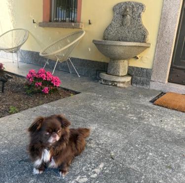 VILLA CHIARA Lago Maggiore