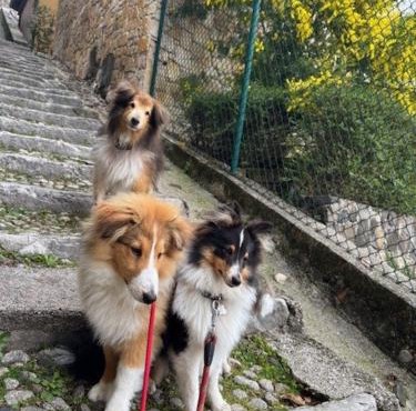 B&B ALLE SCALETTE
